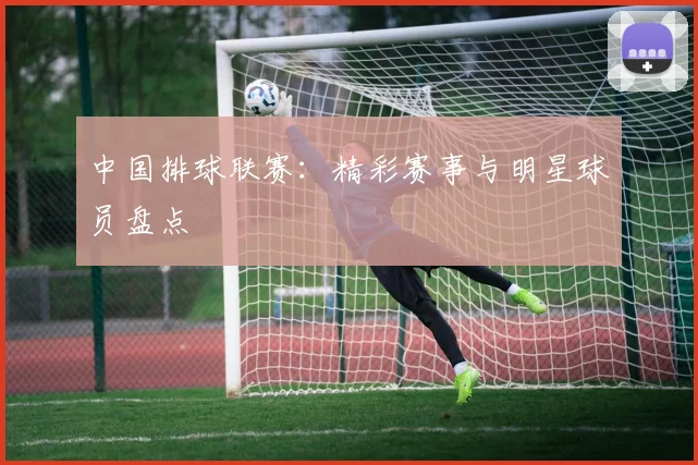 中国排球联赛：精彩赛事与明星球员盘点