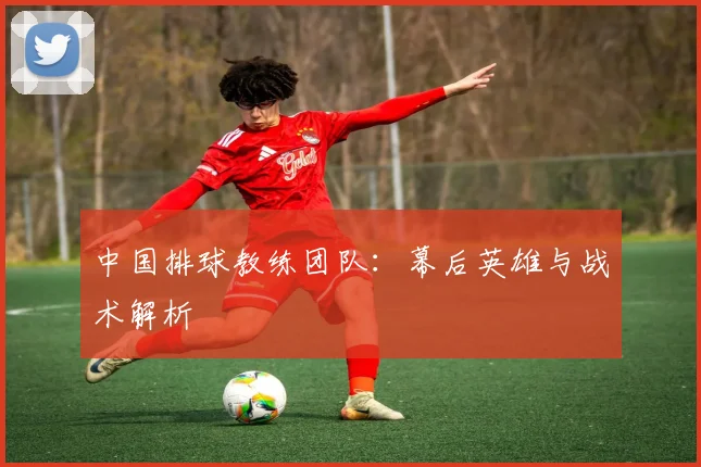 中国排球教练团队：幕后英雄与战术解析