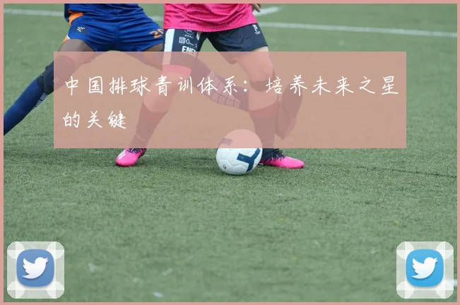 中国排球青训体系：培养未来之星的关键