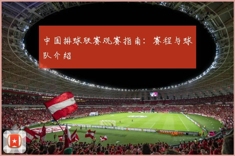 中国排球联赛观赛指南：赛程与球队介绍