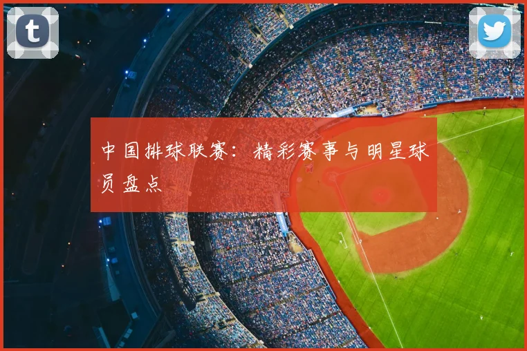 中国排球联赛：精彩赛事与明星球员盘点