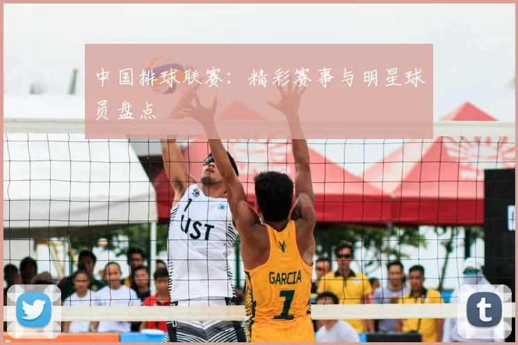 中国排球联赛:精彩赛事与明星球员盘点