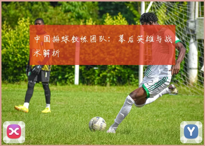中国排球教练团队:幕后英雄与战术解析